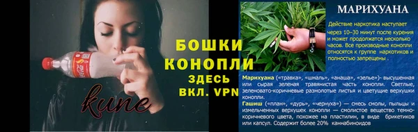 ПСИЛОЦИБИНОВЫЕ ГРИБЫ Беломорск