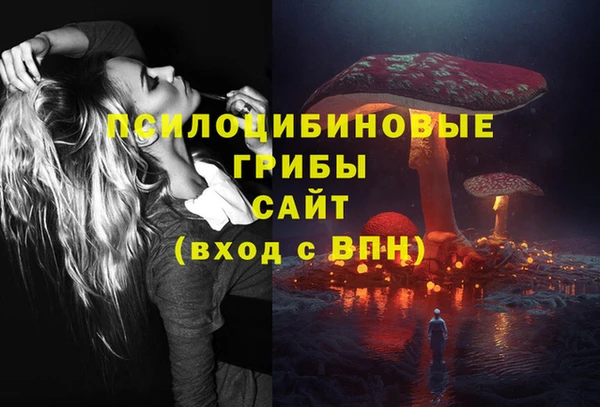 ПСИЛОЦИБИНОВЫЕ ГРИБЫ Беломорск