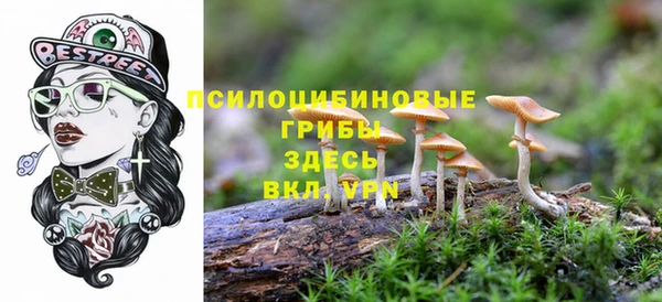 ПСИЛОЦИБИНОВЫЕ ГРИБЫ Беломорск
