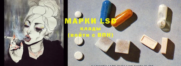 ПСИЛОЦИБИНОВЫЕ ГРИБЫ Беломорск